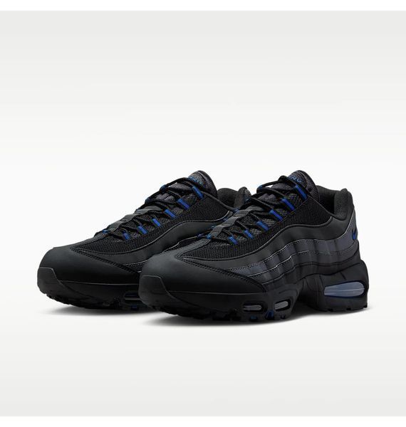 Кросівки чоловічі Nike Air Max 95 (IM5987-010), 41, WHS, 1-2 дні