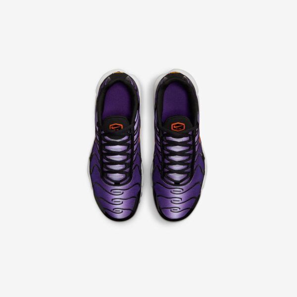 Кросівки жіночі Nike Air Max Plus Gs (CD0609-024), 40, WHS, < 10%, 1-2 дні