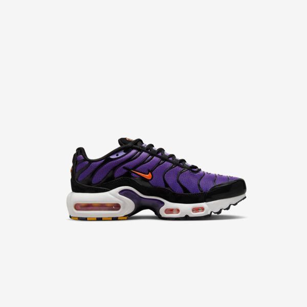 Кросівки жіночі Nike Air Max Plus Gs (CD0609-024), 40, WHS, < 10%, 1-2 дні