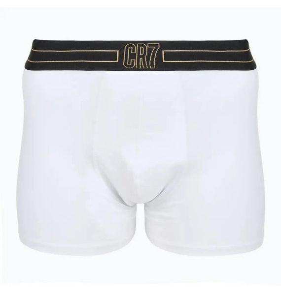 Трусы мужские Cr7 Basic Multi (8100-49-2766), 2XL, WHS, 1-2 дня