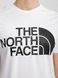 Фотография Футболка мужская The North Face Standard Ls Basic Logo (NF0A4M7XFN41) 4 из 4 в Ideal Sport