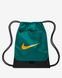 Фотография Nike Brasilia 9.5 Training Gymsack (18L) (DM3978-381) 2 из 5 в Ideal Sport