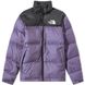 Фотография Куртка мужская The North Face 1996 Nuptse Jacket Lunar Slate & Tnf Black (NF0A3C8DLK3) 1 из 5 в Ideal Sport