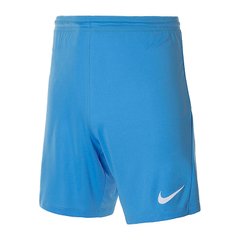 Шорты мужские Nike M Nk Dry Park Iii Short Nb K (BV6855-412), L, WHS, 20% - 30%, 1-2 дня
