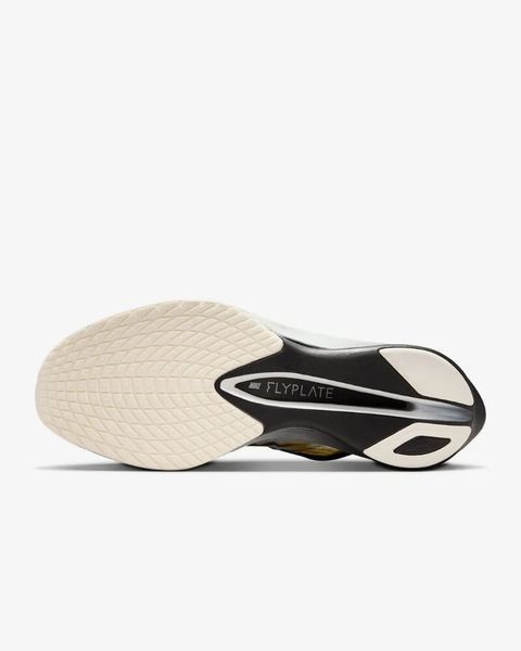 Кросівки чоловічі Nike Vaporfly 4 (IB8167-999), 45.5, WHS, 10% - 20%, 1-2 дні