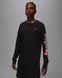 Фотографія Кофта чоловічі Jordan Men's Long-Sleeve (FN5976-010) 1 з 6 в Ideal Sport