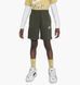 Фотография Шорты подростковые Nike Children's Shorts (DA0806-325) 1 из 6 в Ideal Sport