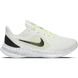 Фотографія Кросівки Nike Downshifter 10 (CI9985-100) 1 з 5 в Ideal Sport