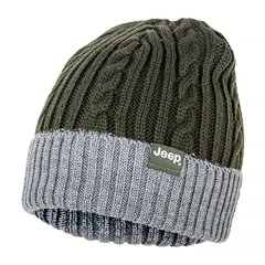 Шапка Jeep Twisted Tricot Hat (O102602-E858), One Size, WHS, 1-2 дні