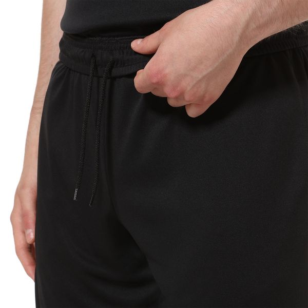 Шорти чоловічі Australian Ace Holi 7.5In Shorts (PAUSH0005-003), S, WHS, 1-2 дні