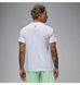 Фотография Футболка мужская Jordan Sport Dri-Fit T-Shirt (HQ7984-100) 2 из 6 в Ideal Sport