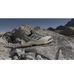 Фотографія Кросівки чоловічі Adidas Terrex Eastrail 2 R.Rdy Beige/Grey (IH1164) 4 з 12 в Ideal Sport