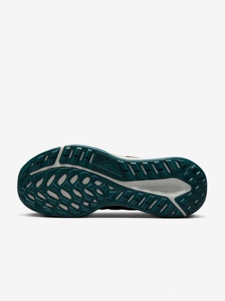 Кросівки жіночі Nike Juniper Trail 2 Next Nature (DM0821-003), 38.5, WHS, 1-2 дні