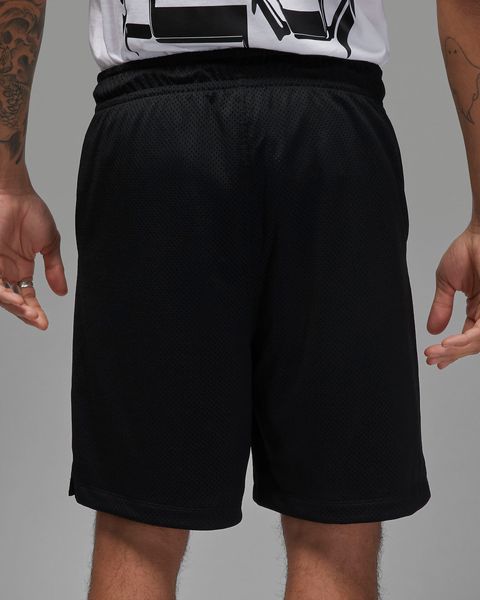 Шорты мужские Jordan Graphic Mesh Shorts (DX9671-010), L, WHS, 40% - 50%, 1-2 дня