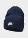 Фотография Шапка Nike Peak Tall Cuff Futura (FB6528-410) 1 из 2 в Ideal Sport