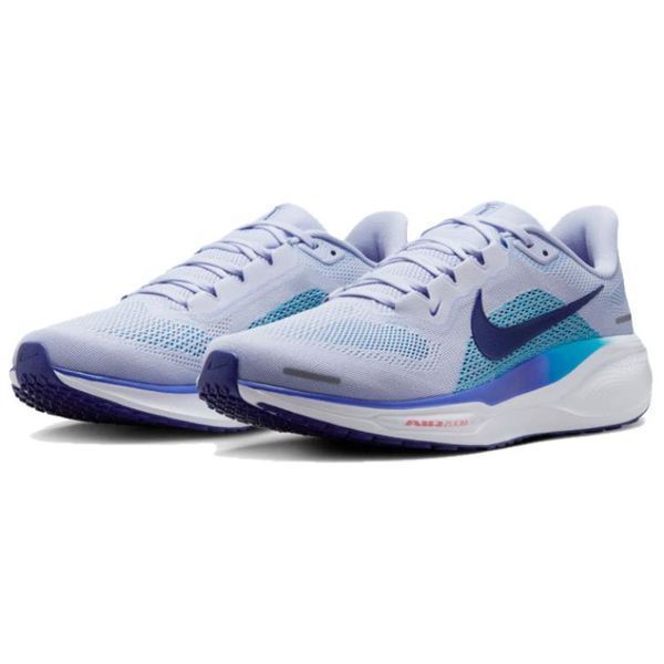 Кроссовки мужские Nike Air Zoom Pegasus 41 (FD2722-014), 41, WHS, 1-2 дня