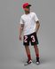 Фотографія Шорти чоловічі Jordan Graphic Mesh Shorts (DX9671-010) 6 з 6 в Ideal Sport