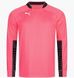 Фотография Кофта мужские Puma Added Long-Sleeved Goalkeeper (701918-44) 1 из 3 в Ideal Sport