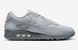 Фотография Кроссовки мужские Nike Air Max 90 (FJ4218-002) 2 из 6 в Ideal Sport