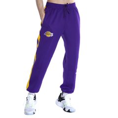 Брюки мужские Nike Los Angeles Lakers Nba (DN4611-504), XS, WHS, 10% - 20%, 1-2 дня