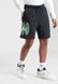 Фотография Шорты мужские Jordan Fleece Shorts (DO0015-010) 1 из 2 в Ideal Sport