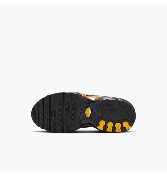 Кросівки унісекс Nike Air Max Plus (Ps) (FZ0023-041), 33, WHS, 1-2 дні