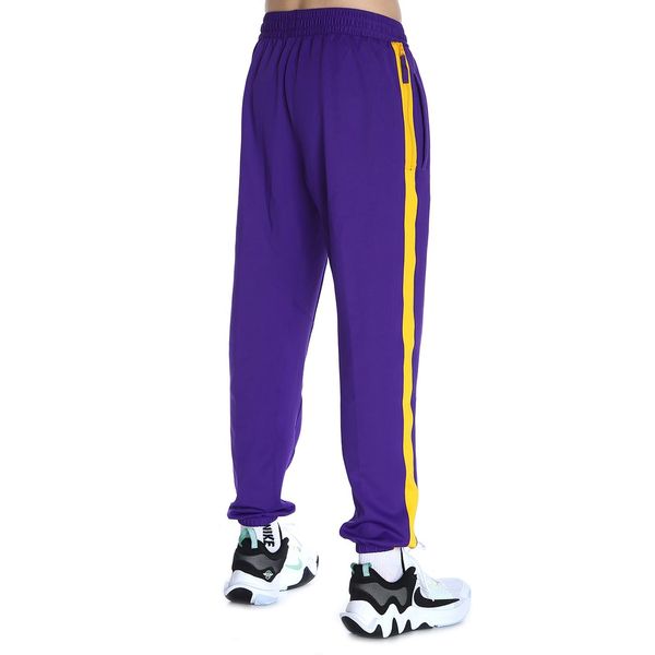 Брюки мужские Nike Los Angeles Lakers Nba (DN4611-504), XS, WHS, 10% - 20%, 1-2 дня