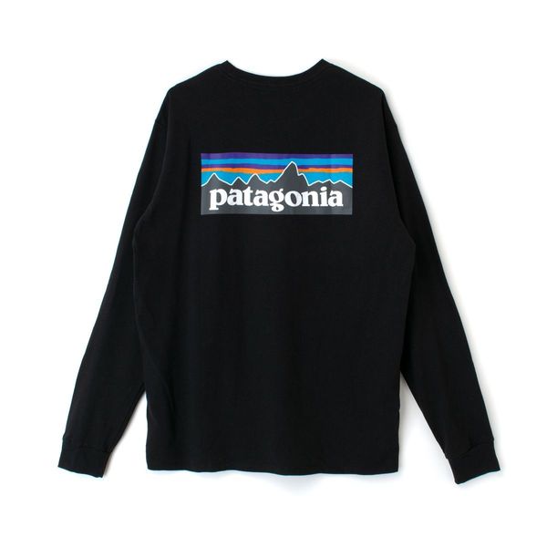 Кофта мужские Patagonia Responsibili (BLK38518), L, WHS, 1-2 дня