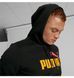 Фотографія Кофта чоловіча Puma Essentials Big Logo Hoodie Black (846849-91) 2 з 7 в Ideal Sport