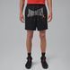 Фотографія Шорти чоловічі Jordan M J Brk Gfx Mesh 7" Short (IR1485-010) 1 з 8 в Ideal Sport