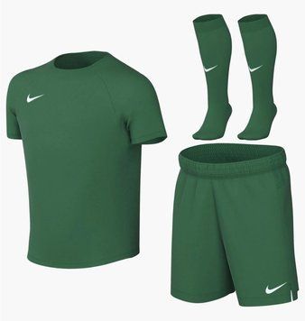 Спортивный костюм детской Nike Park Viii Green (HV8260-302), 108 CM, WHS, 20% - 30%, 1-2 дня