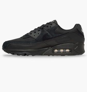 Кроссовки мужские Nike Air Max 90 Black (DM0029-024), 42, OFC, 1-2 дня