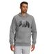 Фотография Кофта мужские The North Face Medium Grey (NF0A7UNMGVD) 1 из 2 в Ideal Sport