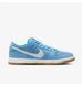 Фотографія Кросівки унісекс Nike Sb Dunk Low Pro (FJ1674-401) 7 з 8 в Ideal Sport
