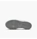 Фотографія Кросівки жіночі Nike Dunk Low Gs (FB9109-123) 2 з 8 в Ideal Sport