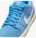 Фотографія Кросівки унісекс Nike Sb Dunk Low Pro (FJ1674-401) 6 з 8 в Ideal Sport