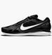 Фотография Кроссовки мужские Nike Air Zoom Vapor Pro Cpt (DO2513-010) 1 из 6 в Ideal Sport