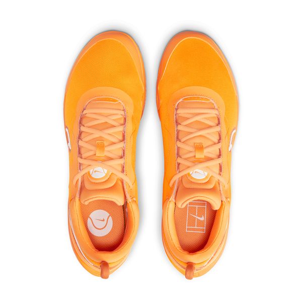 Кроссовки мужские Nike Court Zoom Pro (DV3277-700), 42.5, WHS, 40% - 50%, 1-2 дня
