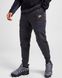 Фотографія Брюки чоловічі Nike Tech Fleece (DV0538-074) 1 з 5 в Ideal Sport