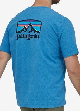 Футболка мужская Patagonia Fitz Roy Horizons Responsibili (38501-APBL), S, WHS, < 10%, 1-2 дня