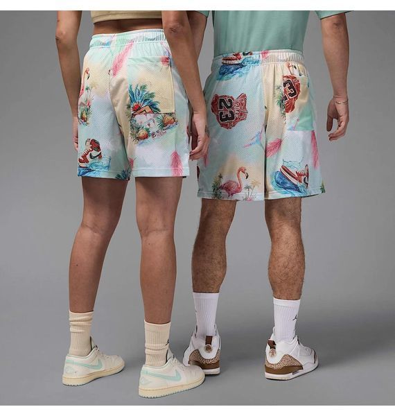 Шорти чоловічі Jordan Essentials Multi (IB3012-133), XL, WHS, 1-2 дні