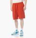 Фотографія Шорти чоловічі Jordan Wordmark Shorts Orange (FJ0700-622) 1 з 5 в Ideal Sport