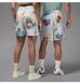 Фотографія Шорти чоловічі Jordan Essentials Multi (IB3012-133) 3 з 9 в Ideal Sport