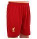 Фотографія Футбольна форма дитяча Liverpool Salah 11 (CO-4618) 2 з 18 в Ideal Sport