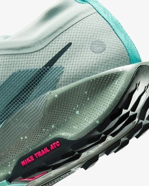 Кросівки чоловічі Nike Pegasus Trail 5 Gore-Tex (FQ0908-013), 45.5, WHS, > 50%, 1-2 дні
