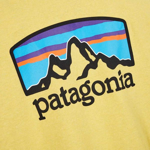 Футболка чоловіча Patagonia Fitz Roy Horizons Logo (38501-SUYE), S, WHS, 10% - 20%, 1-2 дні