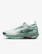 Фотографія Кросівки чоловічі Nike Pegasus Trail 5 Gore-Tex (FQ0908-013) 1 з 8 в Ideal Sport