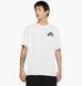 Фотографія Футболка чоловіча Nike Sb Chino Shorts (DC7817-100) 1 з 5 в Ideal Sport