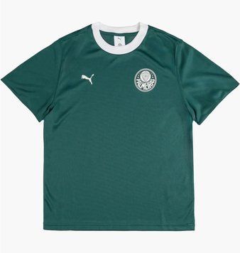 Футболка чоловіча Puma X Palmeiras Sao Paulo Ringer Tee Green (629533-43), L, WHS, 1-2 дні