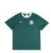 Фотография Футболка мужская Puma X Palmeiras Sao Paulo Ringer Tee Green (629533-43) 2 из 4 в Ideal Sport
